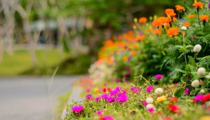 Dicas-de-Jardinagem-Como-deixar-seu-jardim-sempre-bonito