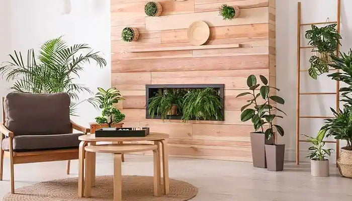 Plantas para Interiores - Tendências de paisagismo para 2022 Tendencias-de-plantas-para-interiores-em-2022