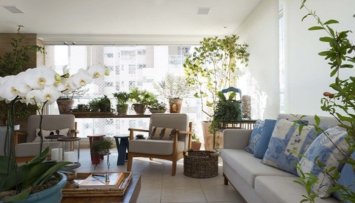 Plantas para Sala - Confira 14 espécies para ambientes internos! Tipos-de-vasos-de-planta-para-casa2
