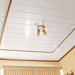 Quais os programas de Arquitetura que devo aprender? Confira! cropped-forropvc.png