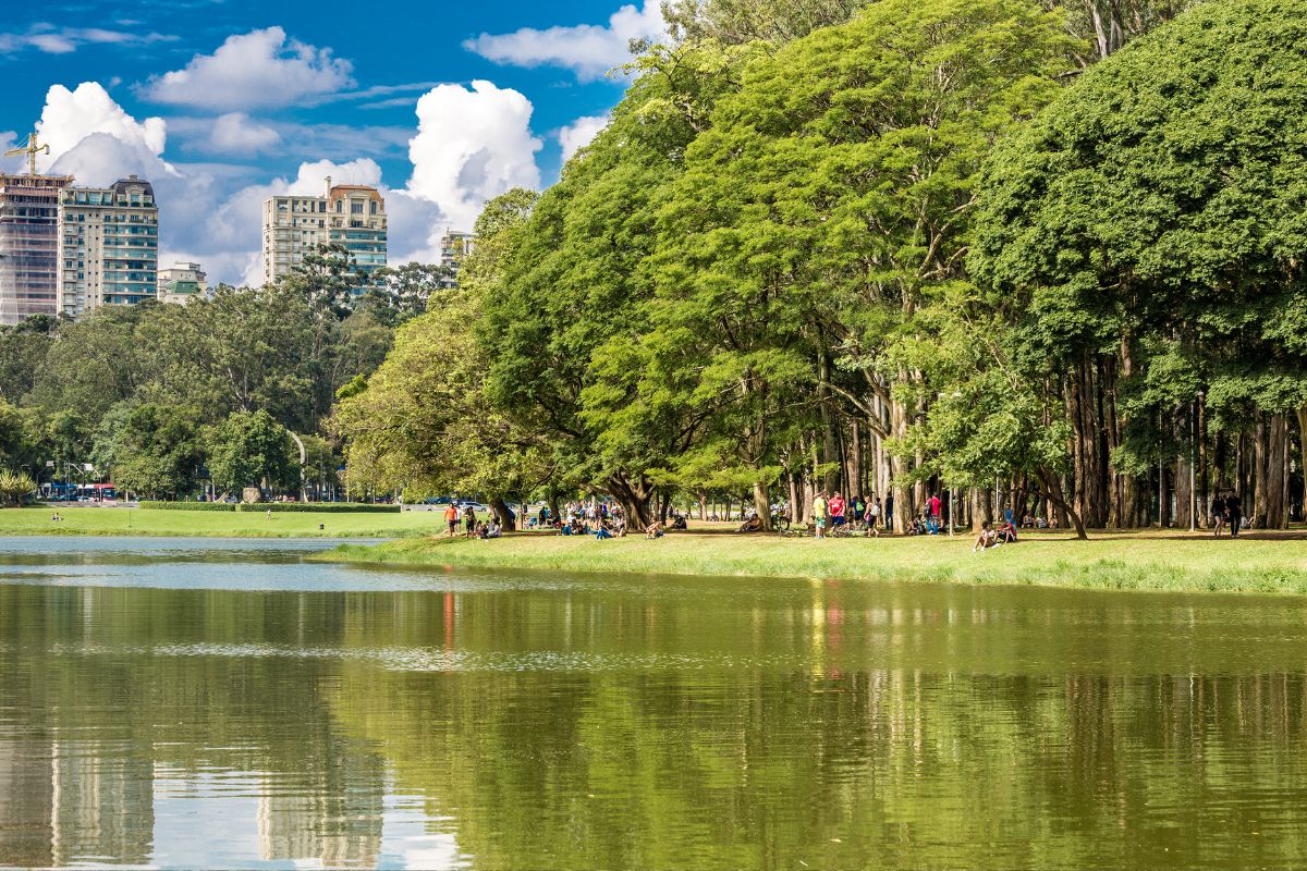 Tesouro Natural: Conheça 11 Parques Nacionais nas Principais Cidades Brasileiras!