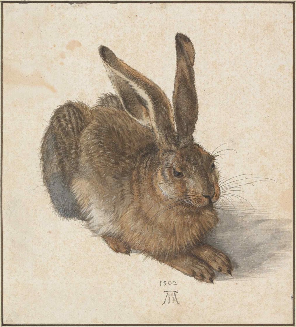 “Young Hare”, pintura em aquarela de 1502 feita por Albrecht Dürer (Imagem: Google Arts & Culture)