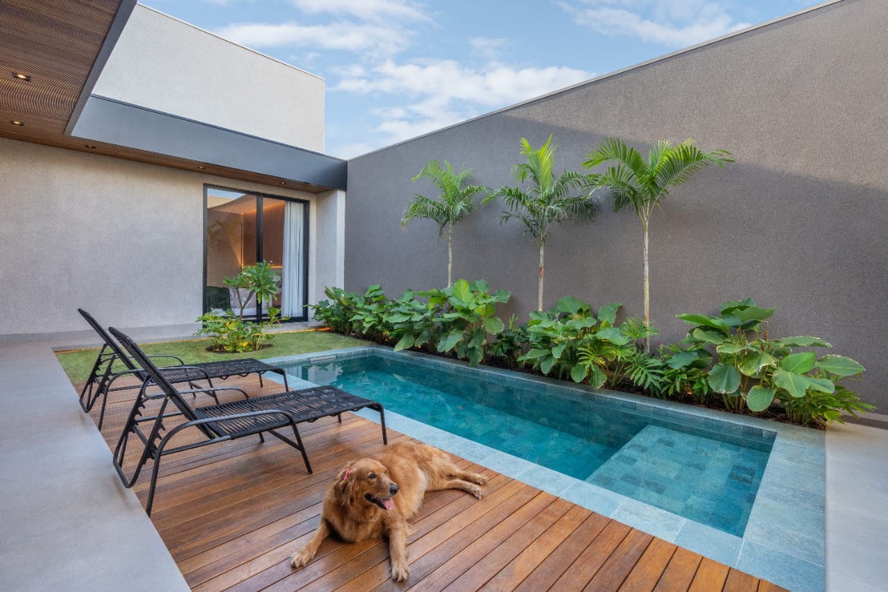 Piscina encostada em muro. Ao redor dela há um deck com espreguiçadeiras e plantas. Também tem um cachorro no deck