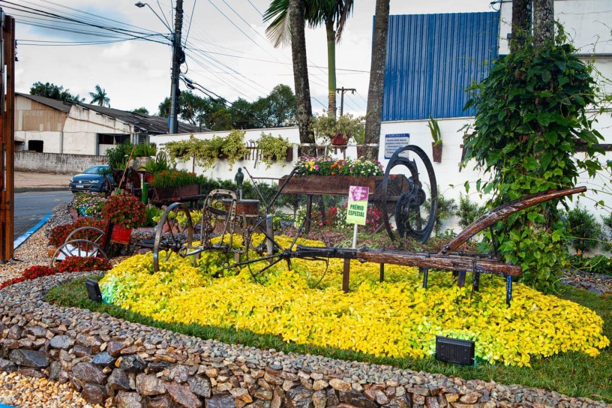 5 razões para visitar o Jardim Mais Bonito do Brasil.