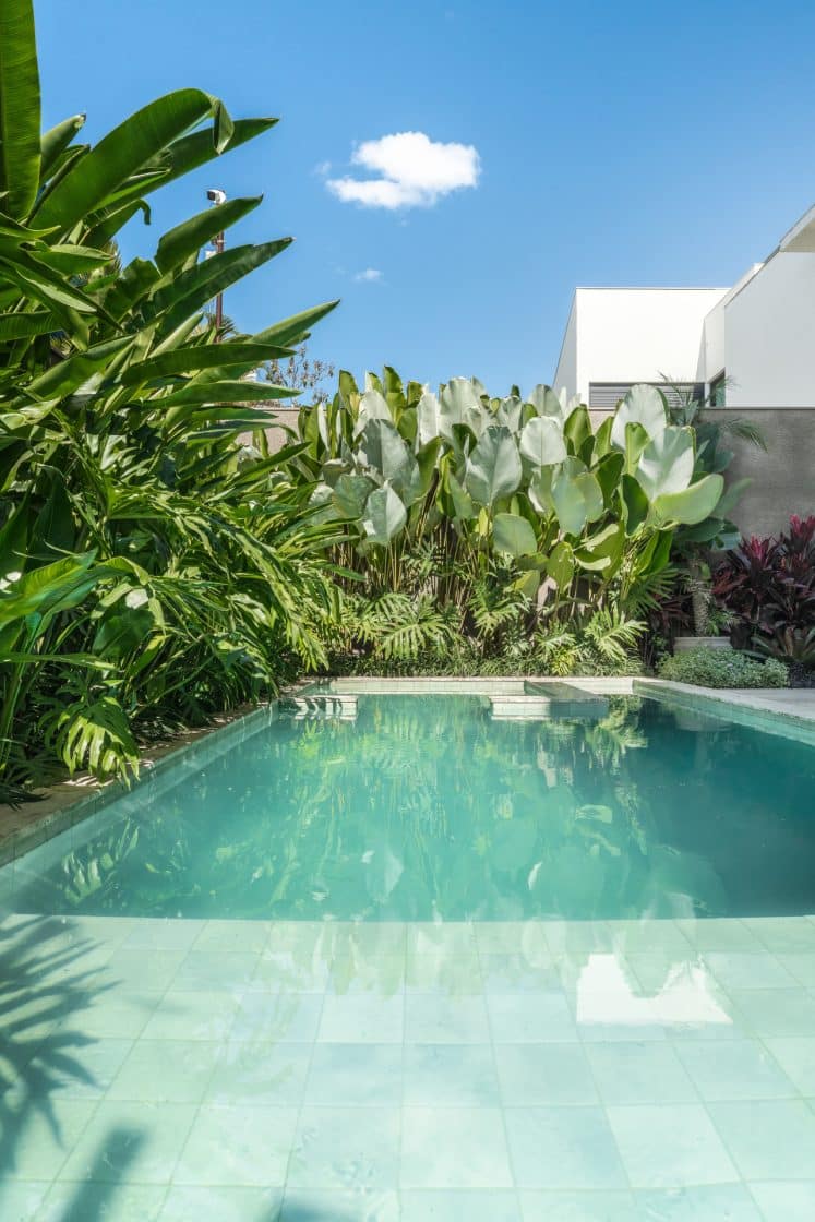 Plantas se destacam em contraste com os tons de cinza do entorno