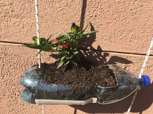 Jardim vertical de apartamento, garrafa PET