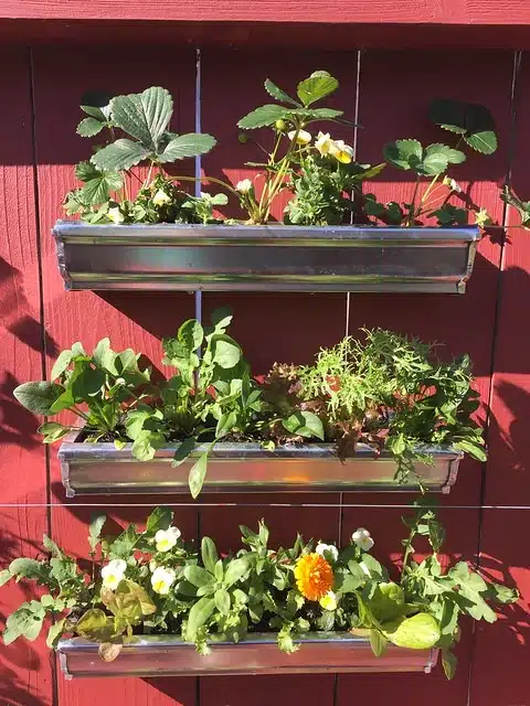 Jardim vertical de apartamento, grade