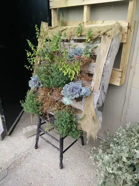 Jardim vertical de apartamento, pallet