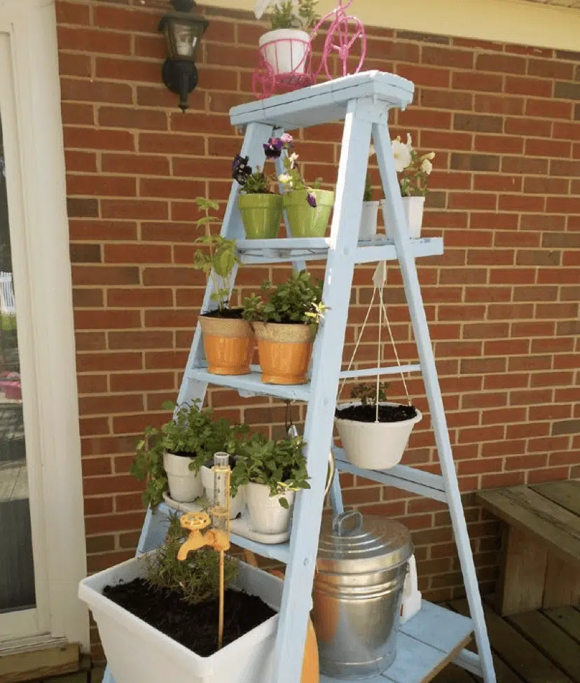 jardim vertical com escada dobrável