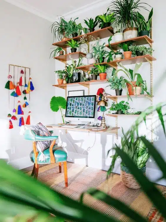 jardim vertical prateleiras